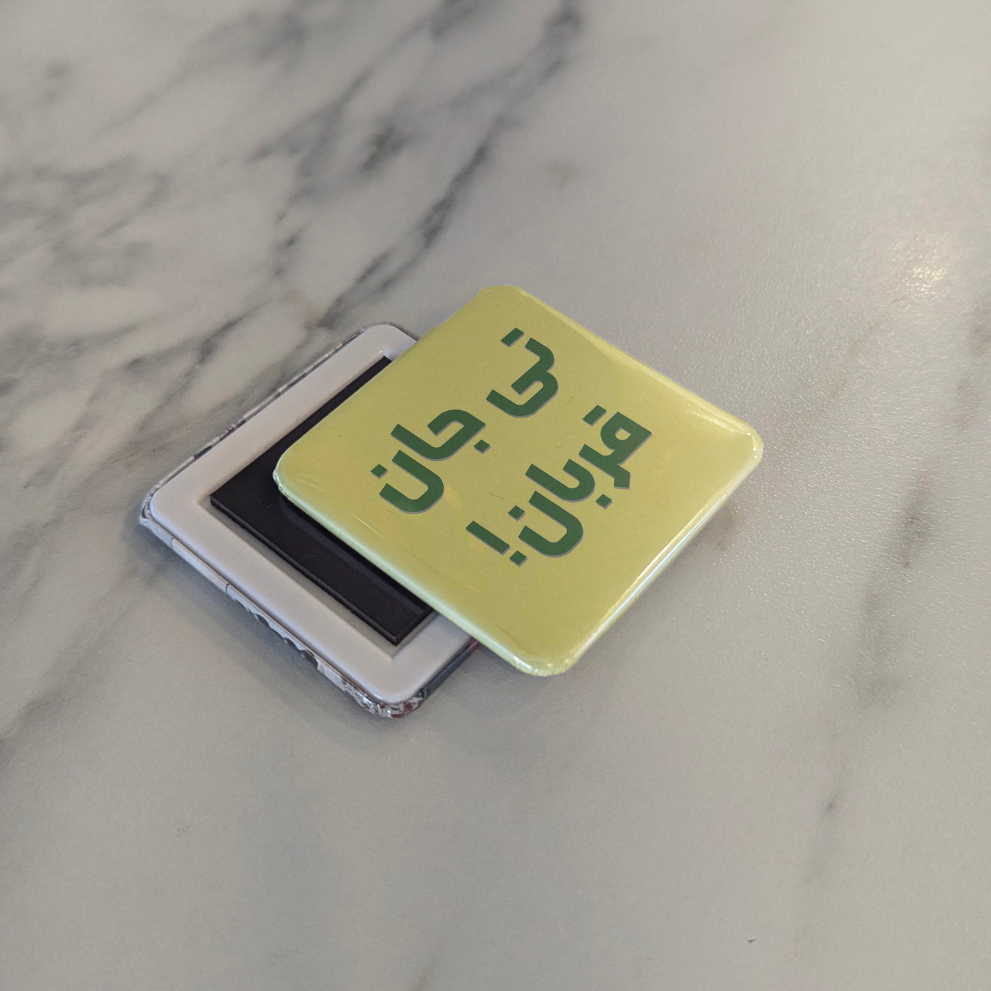 Ti Jaane Ghorban Fridge Magnet - PhiloPerse