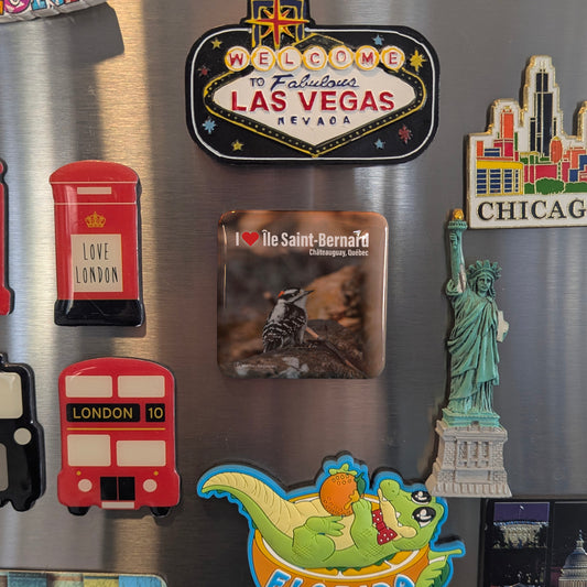 I love Île St. Bernard Fridge Magnet - PhiloPerse