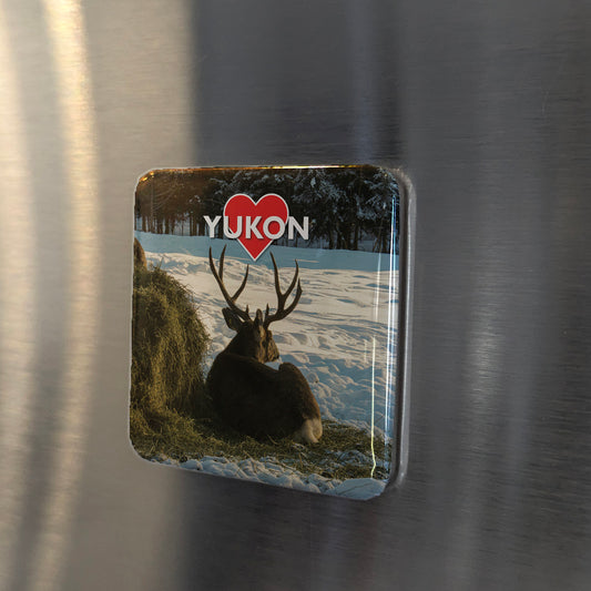Yukon Fridge Magnet - PhiloPerse