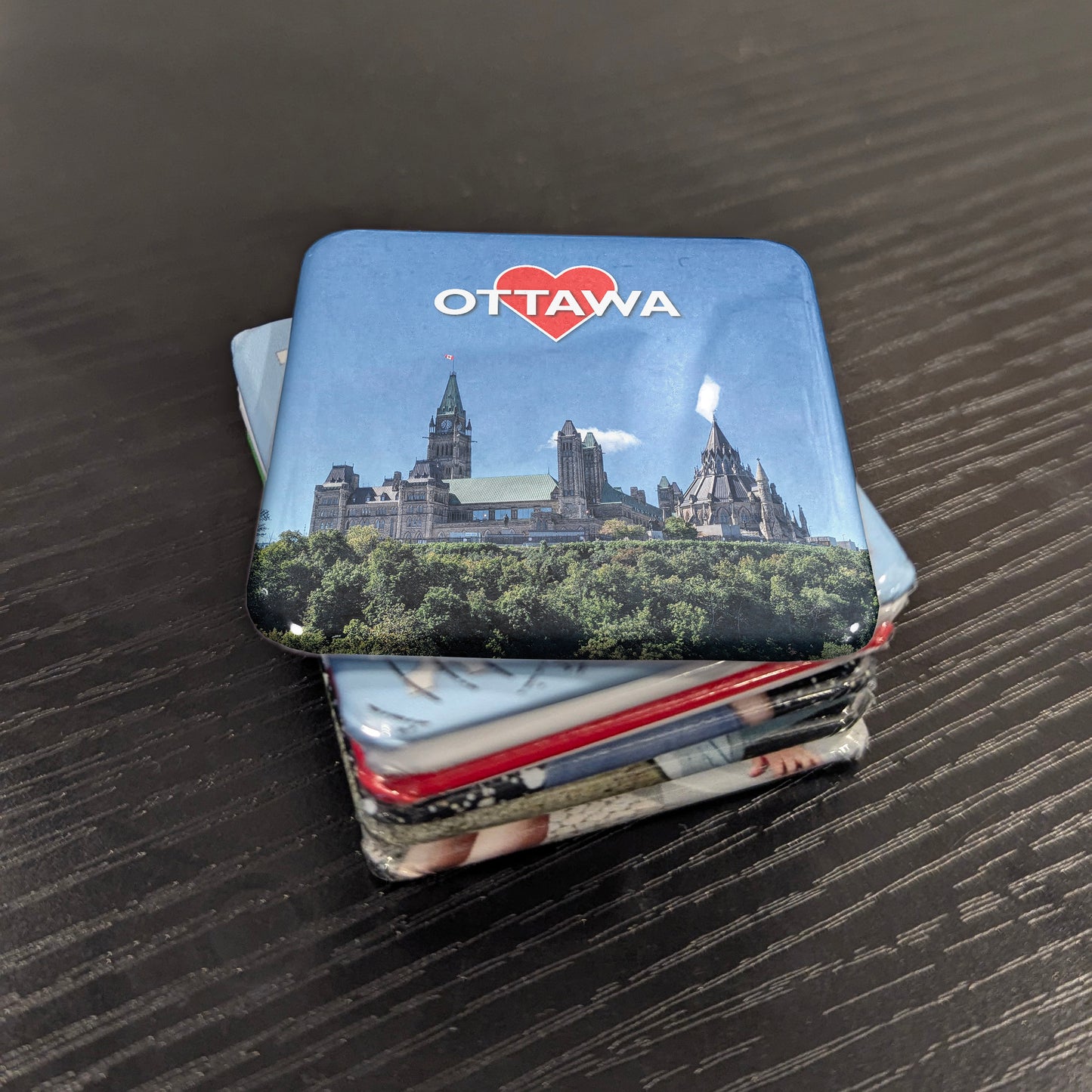 Ottawa view Fridge Magnet - PhiloPerse