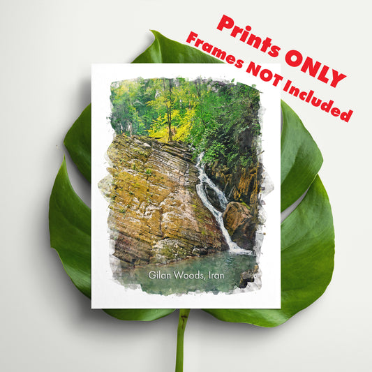 Gilan Woods, Iran, Art Print | 8×10 | Made in Canada - PhiloPerse