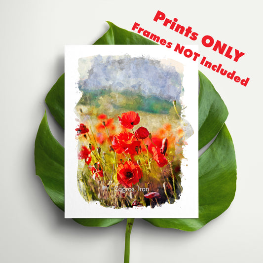 Zagros Poppy Field, Iran, Art Print | 8×10 | Made in Canada - PhiloPerse