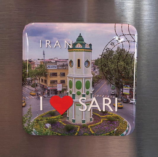 I Love Sari Fridge Magnet