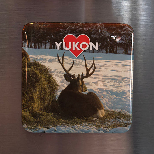 Yukon Fridge Magnet - PhiloPerse