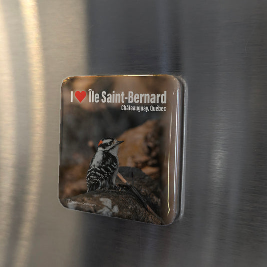 I love Ile St. Bernard Fridge Magnet