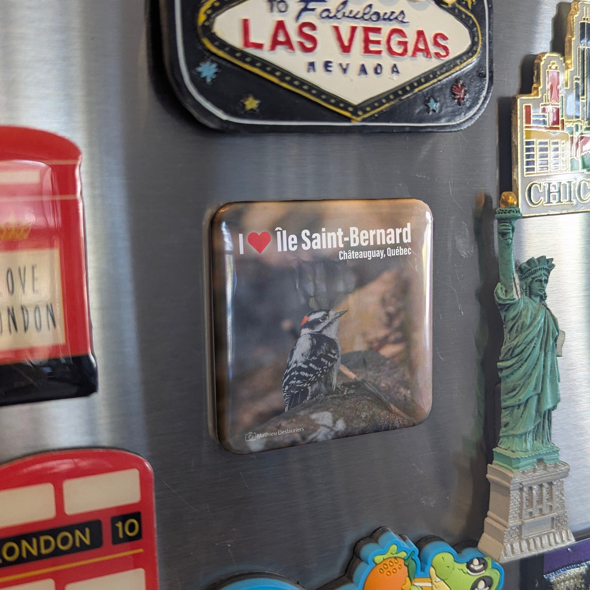 I love Ile St. Bernard Fridge Magnet