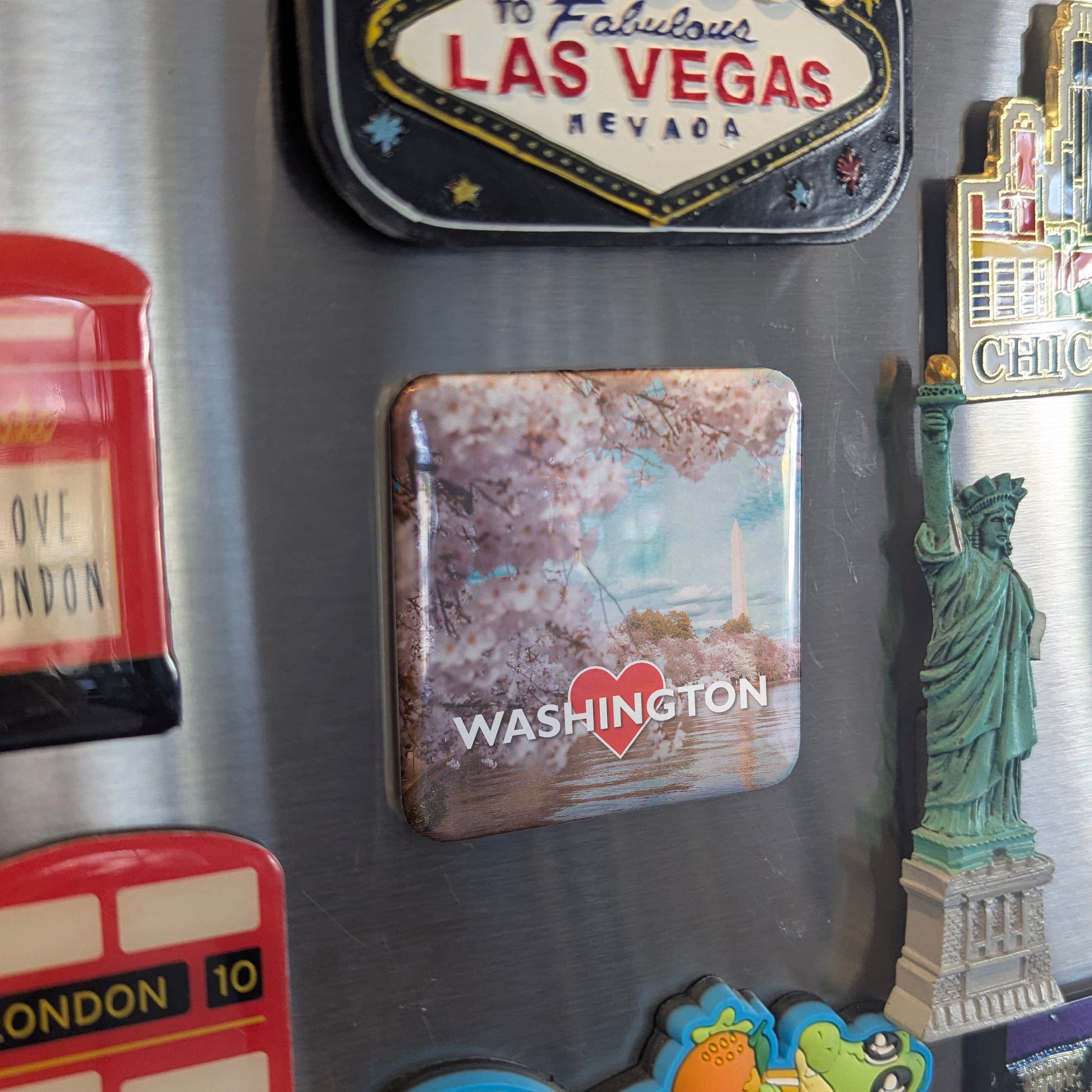 Washington DC Blossoms Fridge Magnet - PhiloPerse