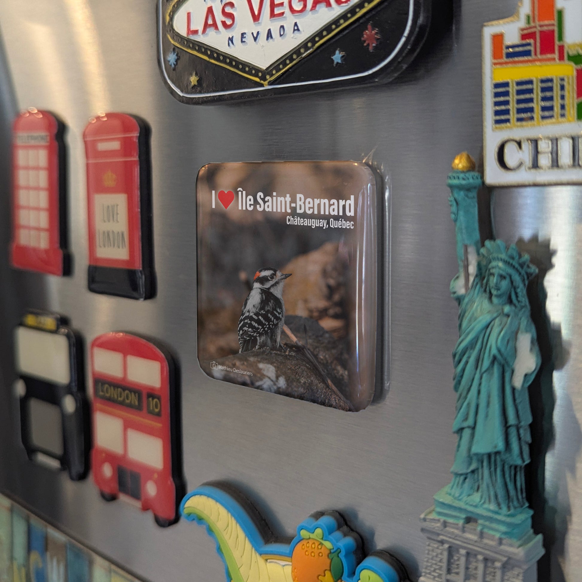 I love Ile St. Bernard Fridge Magnet