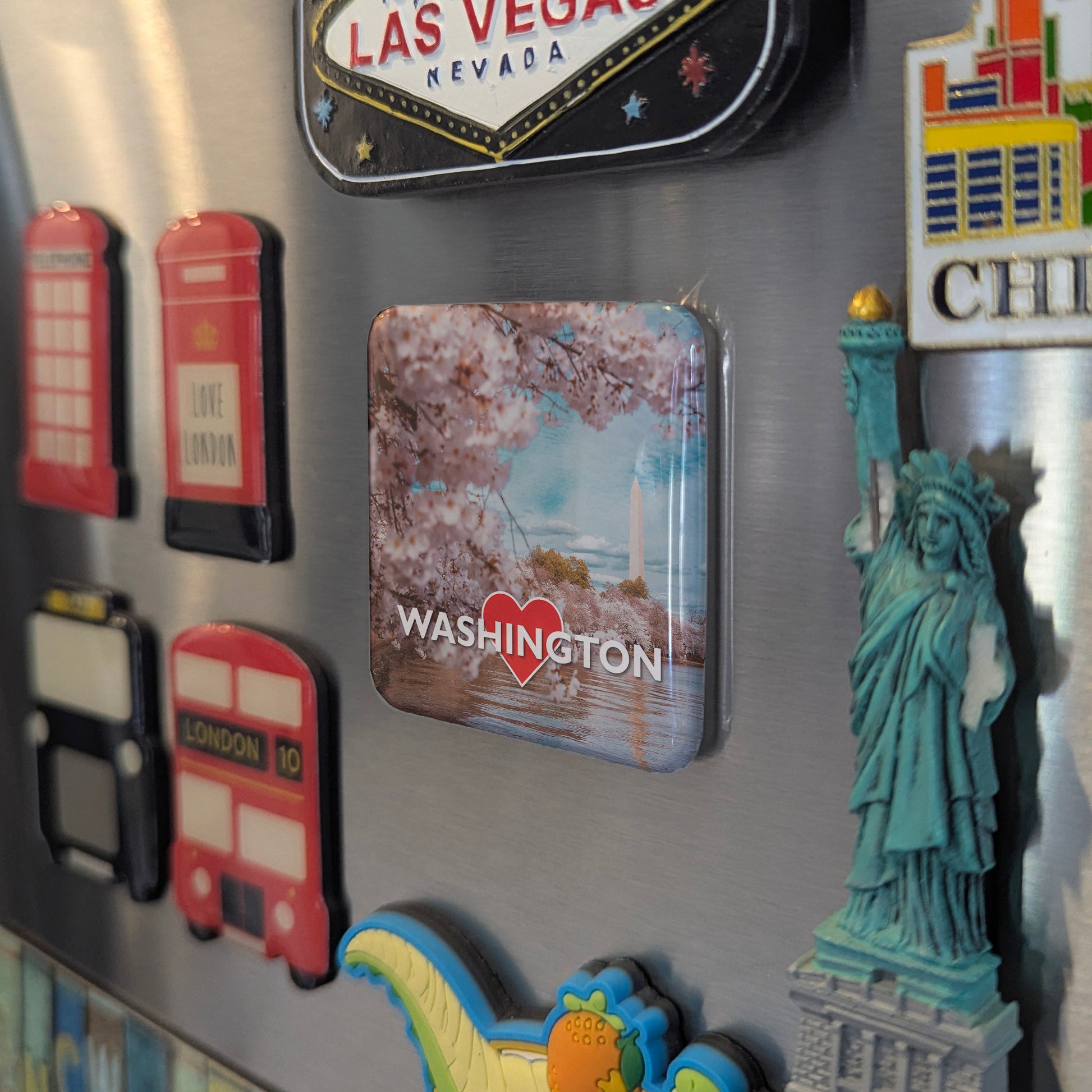 Washington DC Blossoms Fridge Magnet - PhiloPerse