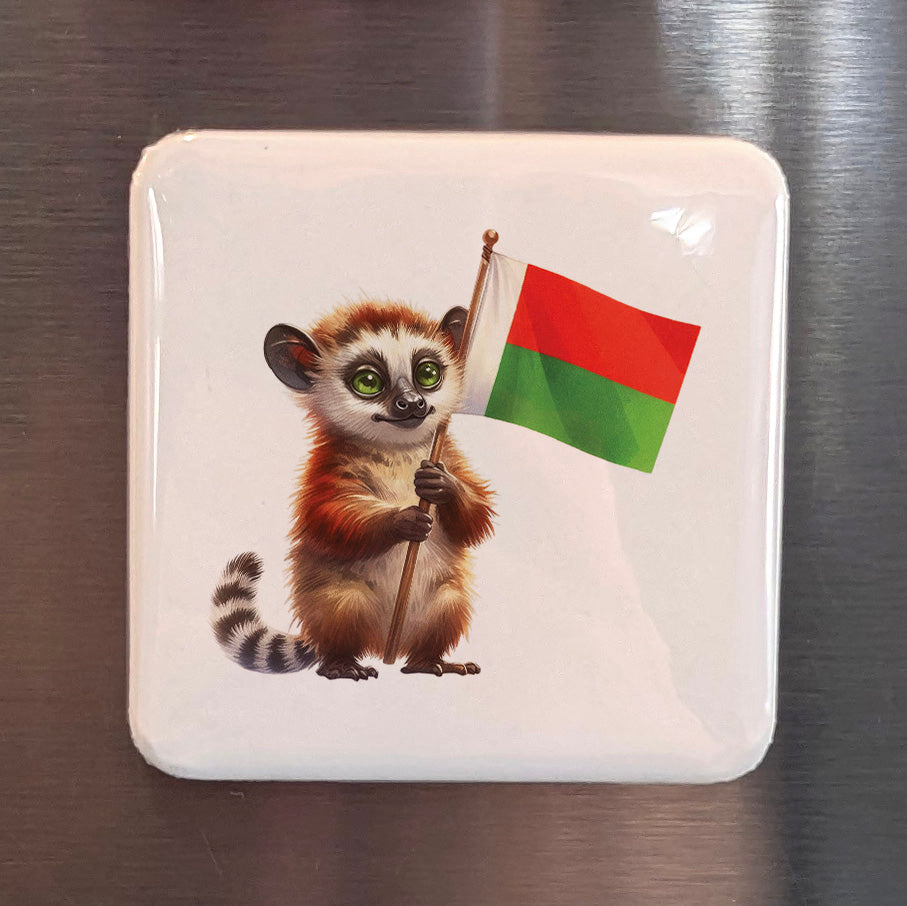 Madagascar Africa Magnet | Aye-Aye of the Island of Lemurs | 2x2 | Made in Canada