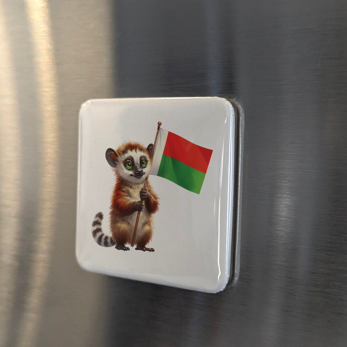 Madagascar Africa Magnet | Aye-Aye of the Island of Lemurs | 2x2 | Made in Canada