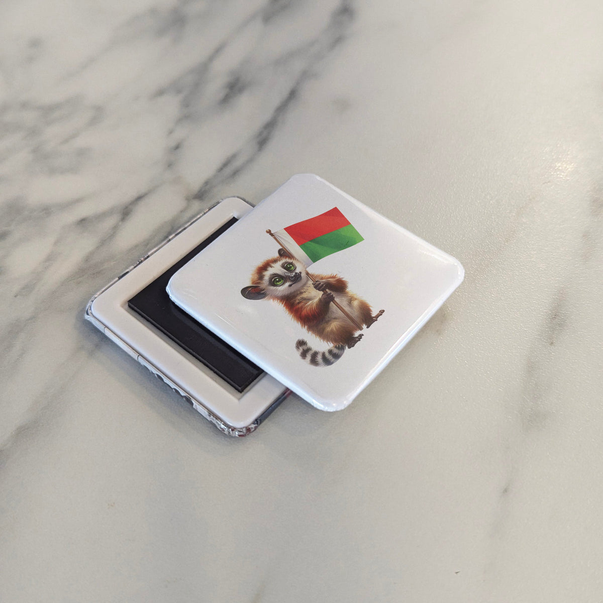 Madagascar Africa Magnet | Aye-Aye of the Island of Lemurs | 2x2 | Made in Canada