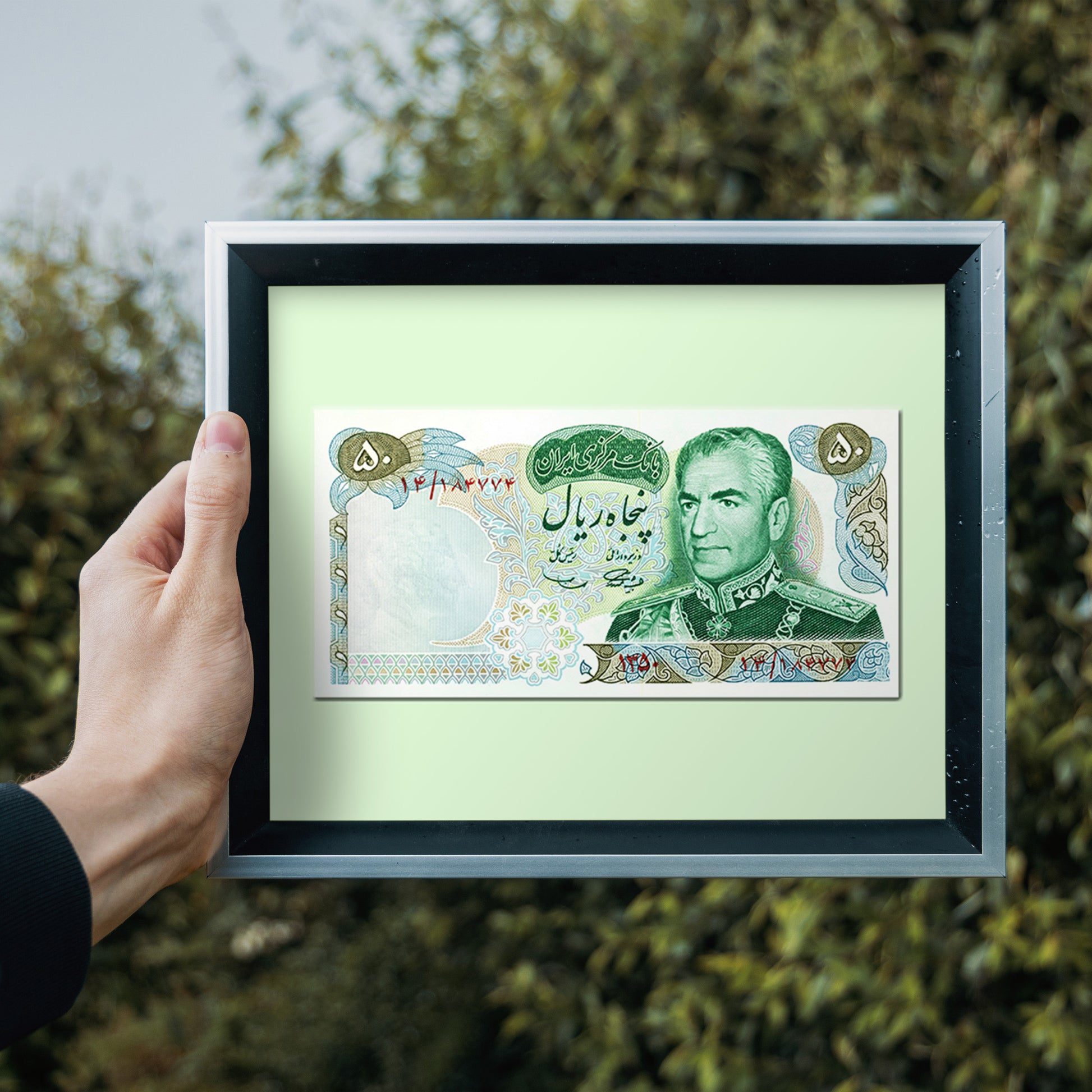 50 Rials Bank Note, Mohammad Reza Pahlavi, Art Print | 8×10 | Made in Canada - PhiloPerse