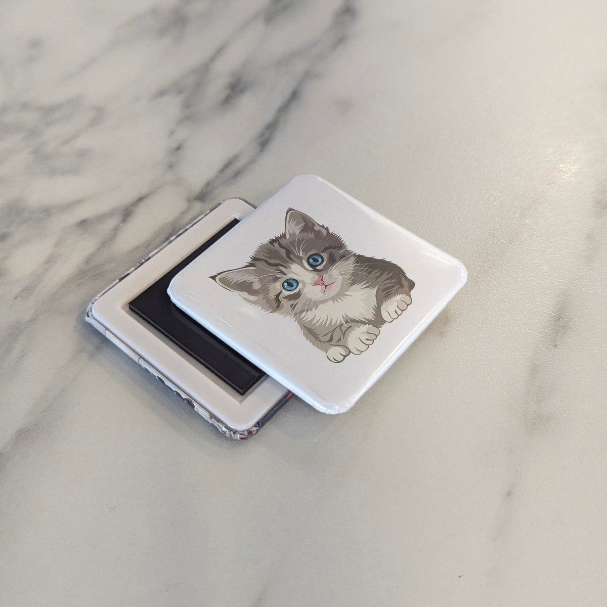 Blue-Eyed Kitten Magnet | Little Paws | 2×2 | Made in Canada - PhiloPerse