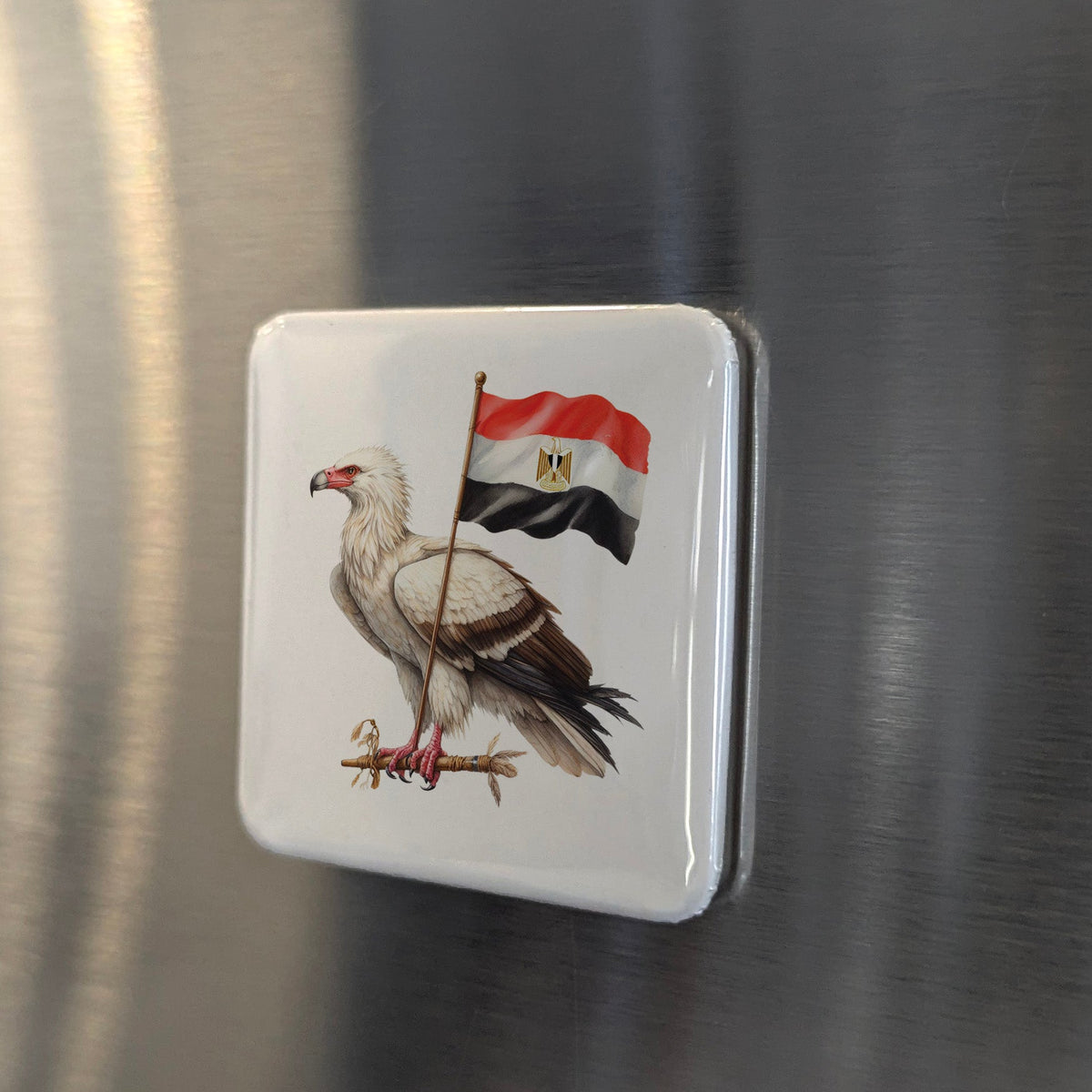 Egypt Africa Magnet | Egyptian Vulture Sacred Bird of the Pharaohs | 2x2 | Made in Canada