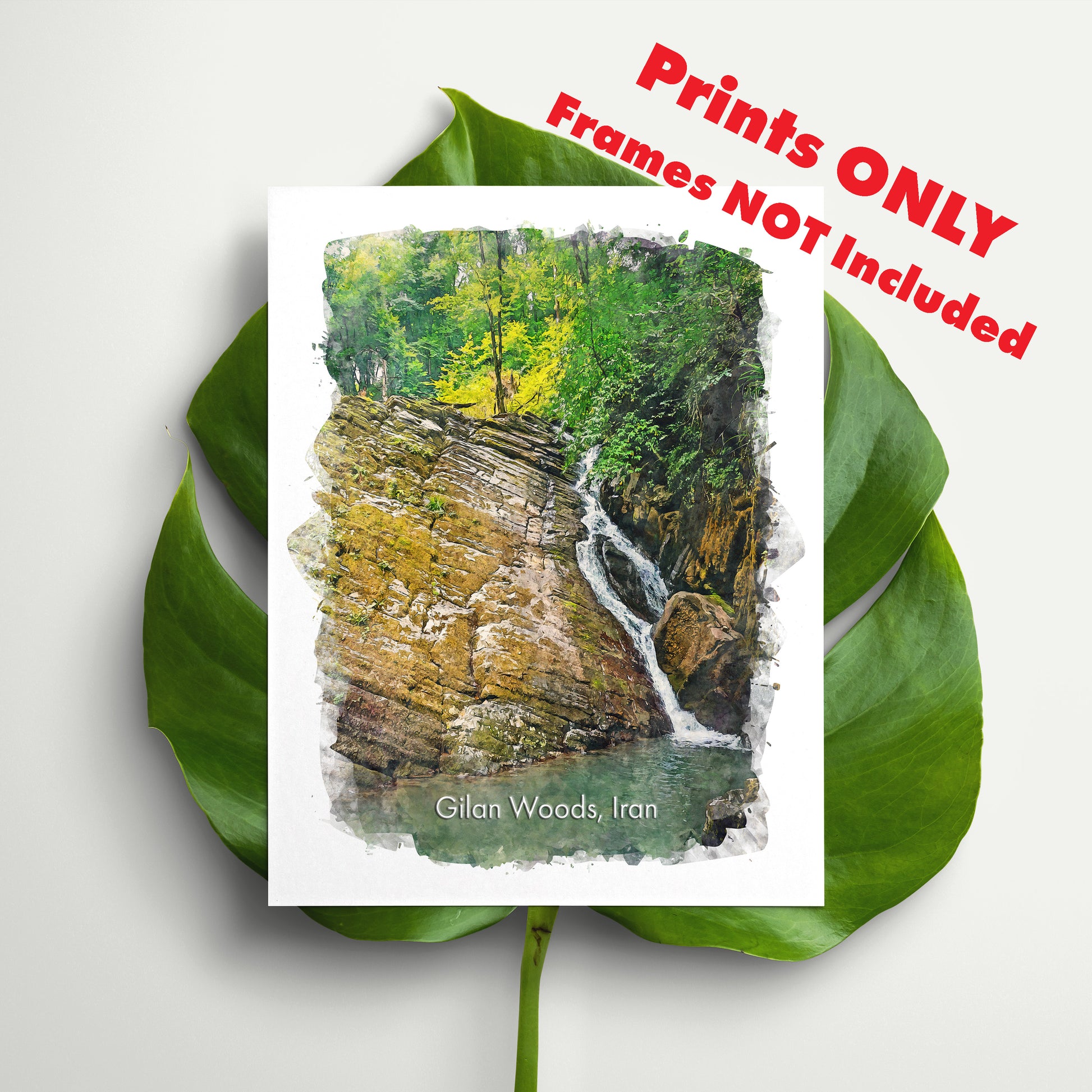 Gilan Woods, Iran, Art Print | 8×10 | Made in Canada - PhiloPerse