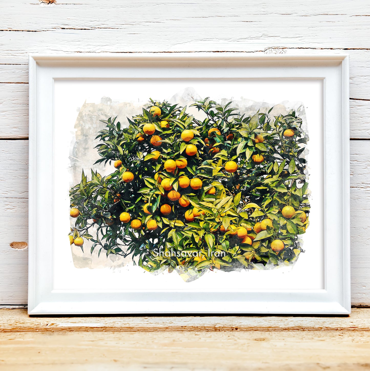 Shahsavar Orange Orchard, Iran, Art Print | 8×10 | Made in Canada - PhiloPerse