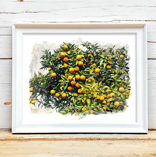 Shahsavar Orange Orchard, Iran, Art Print | 8×10 | Made in Canada - PhiloPerse