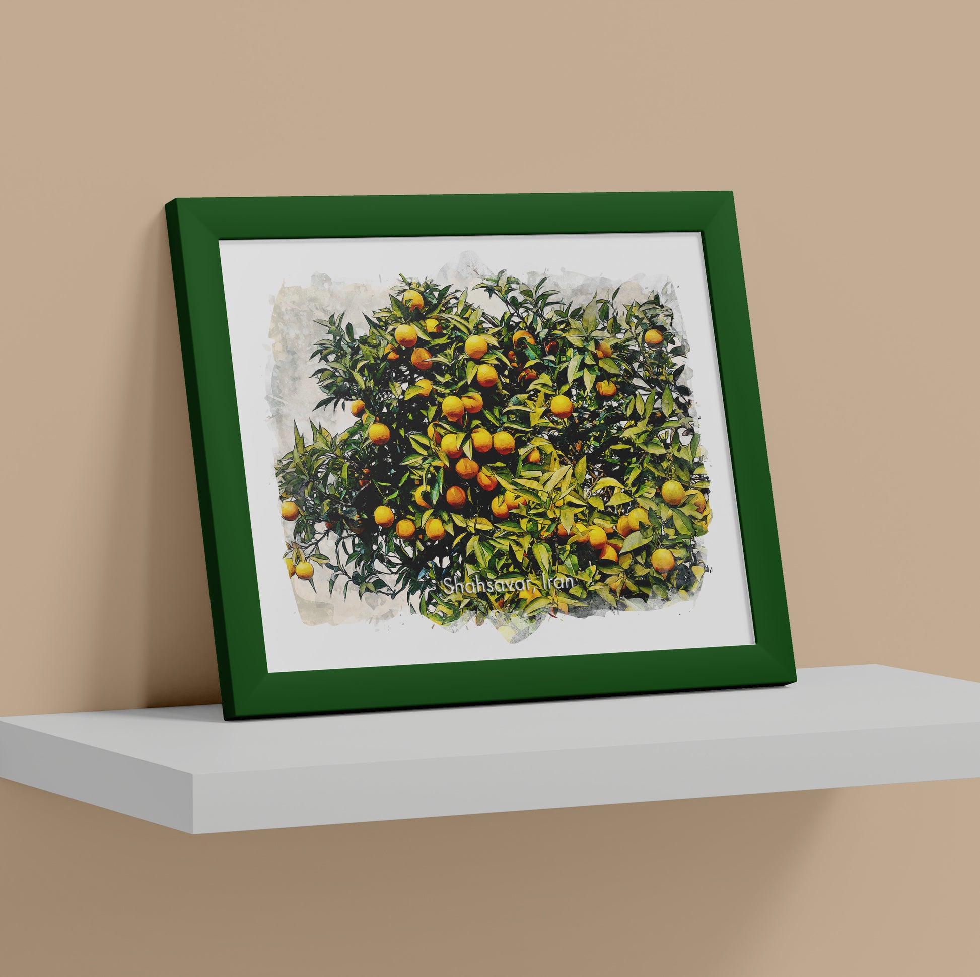 Shahsavar Orange Orchard, Iran, Art Print | 8×10 | Made in Canada - PhiloPerse