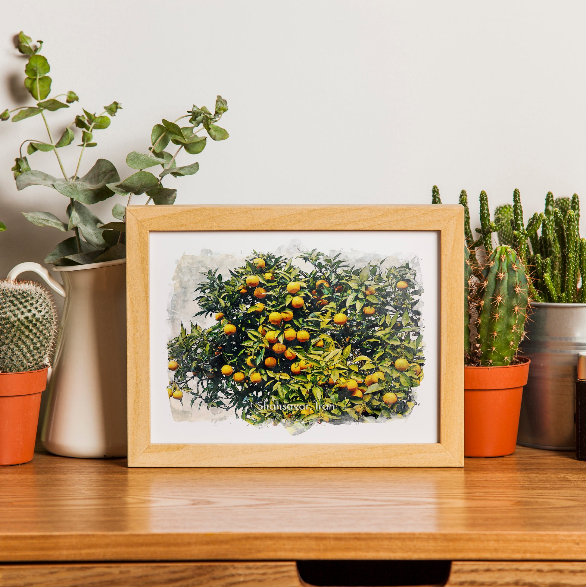 Shahsavar Orange Orchard, Iran, Art Print | 8×10 | Made in Canada - PhiloPerse