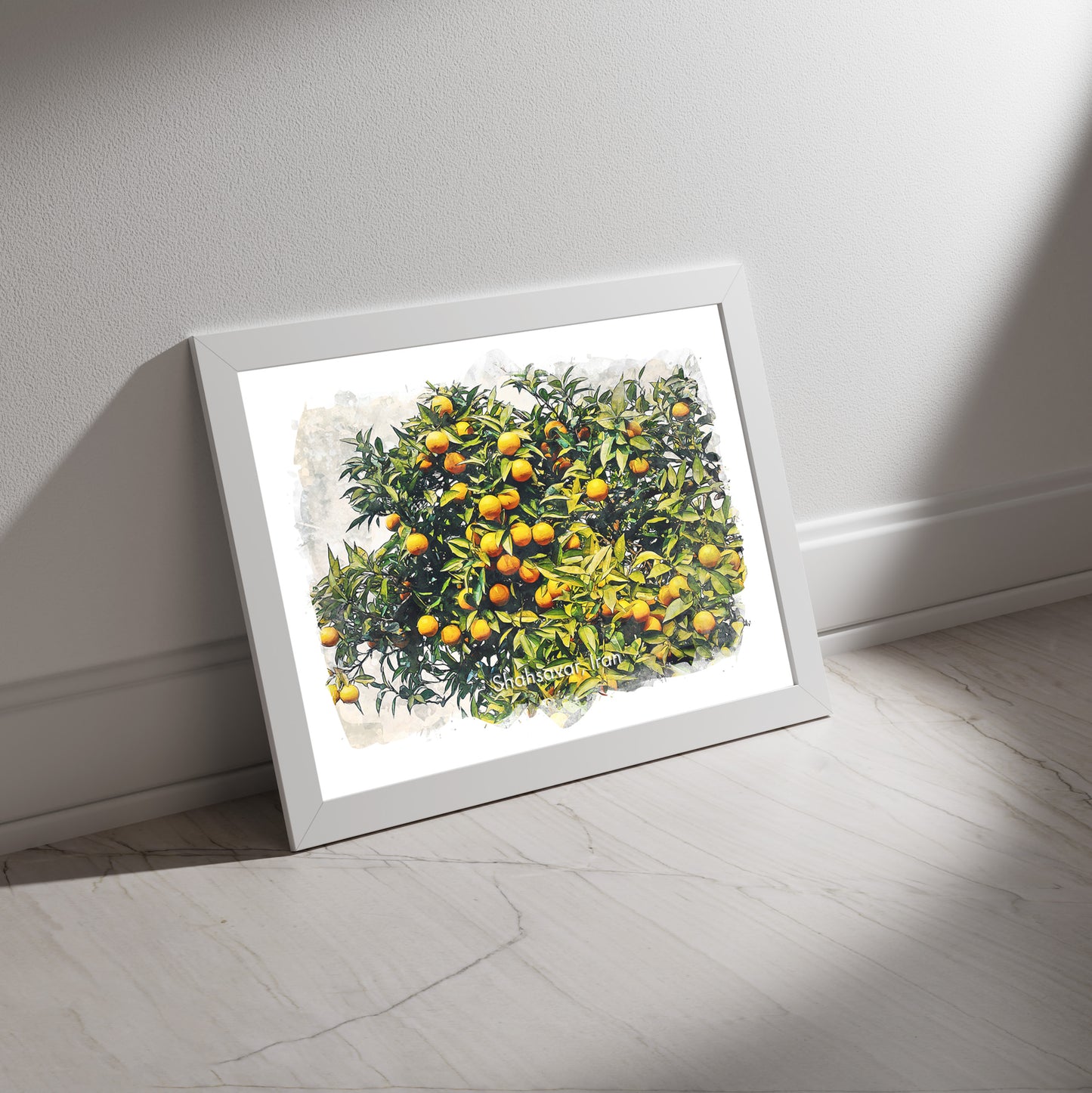 Shahsavar Orange Orchard, Iran, Art Print | 8×10 | Made in Canada - PhiloPerse