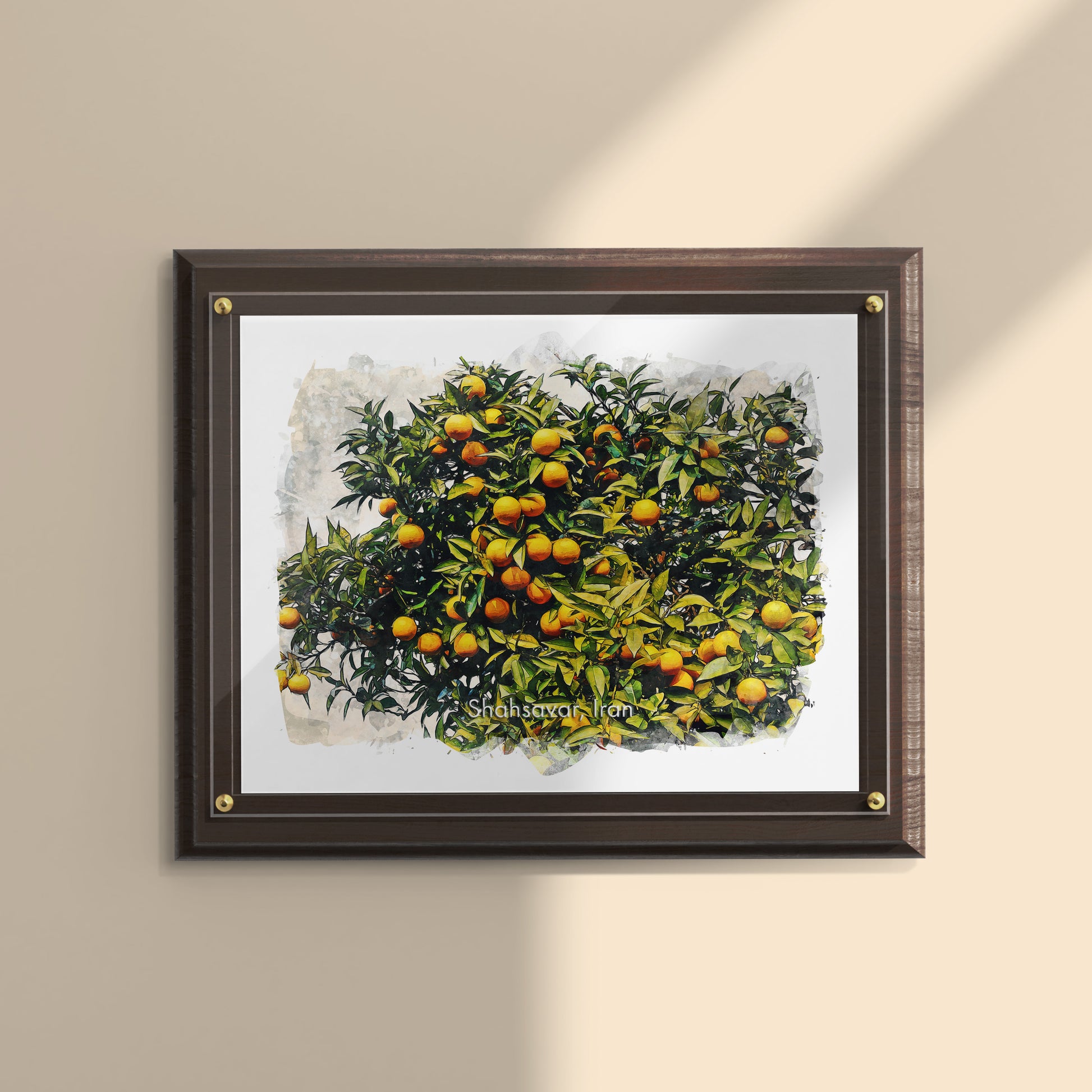 Shahsavar Orange Orchard, Iran, Art Print | 8×10 | Made in Canada - PhiloPerse