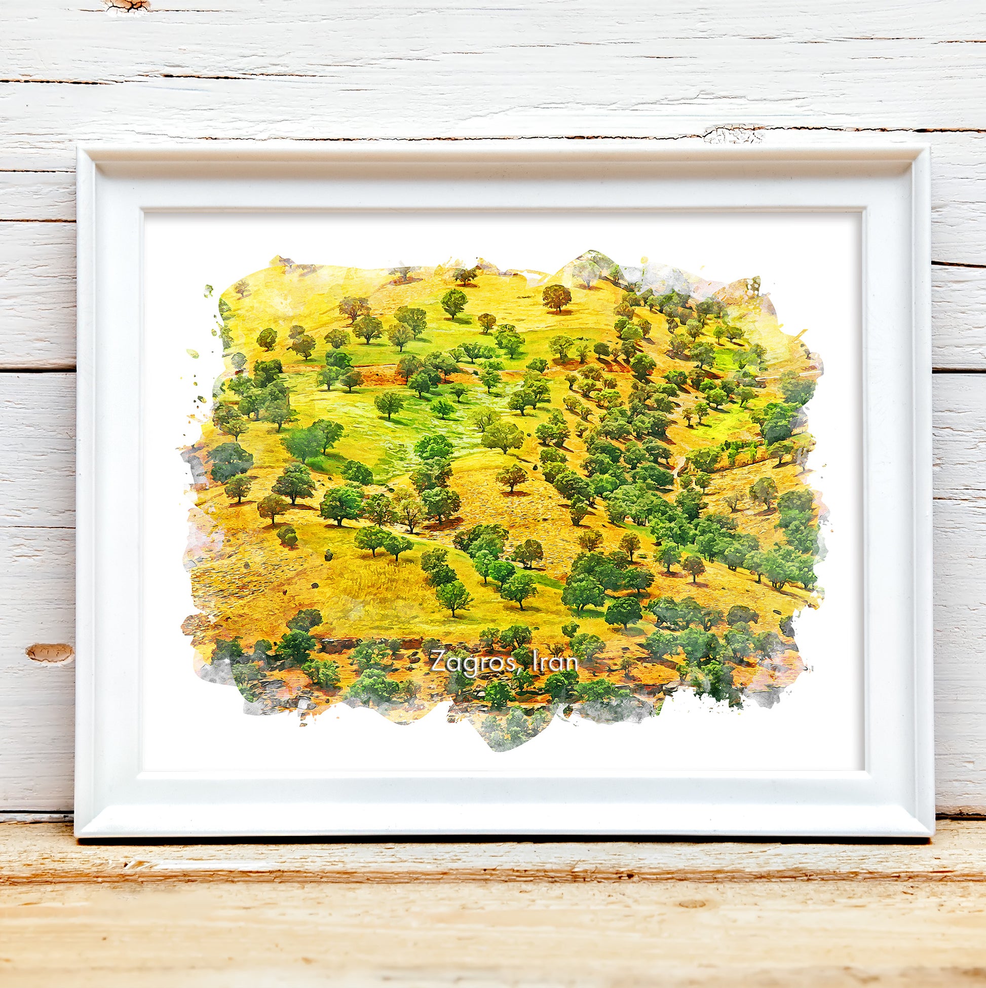 Zagros Oak Trees, Iran, Art Print | 8×10 | Made in Canada - PhiloPerse