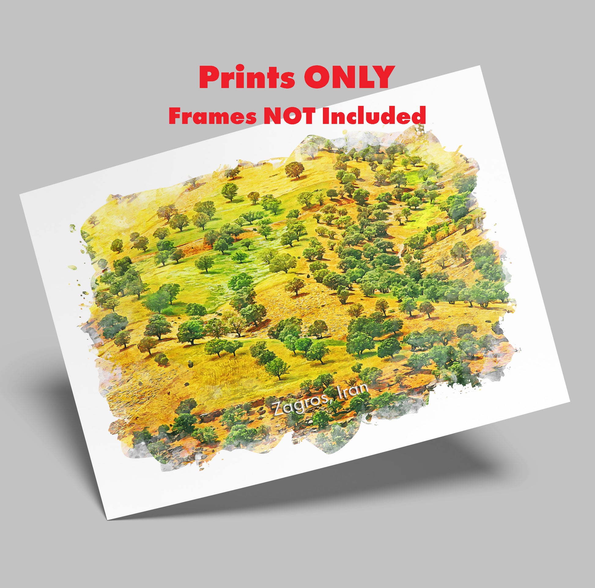 Zagros Oak Trees, Iran, Art Print | 8×10 | Made in Canada - PhiloPerse