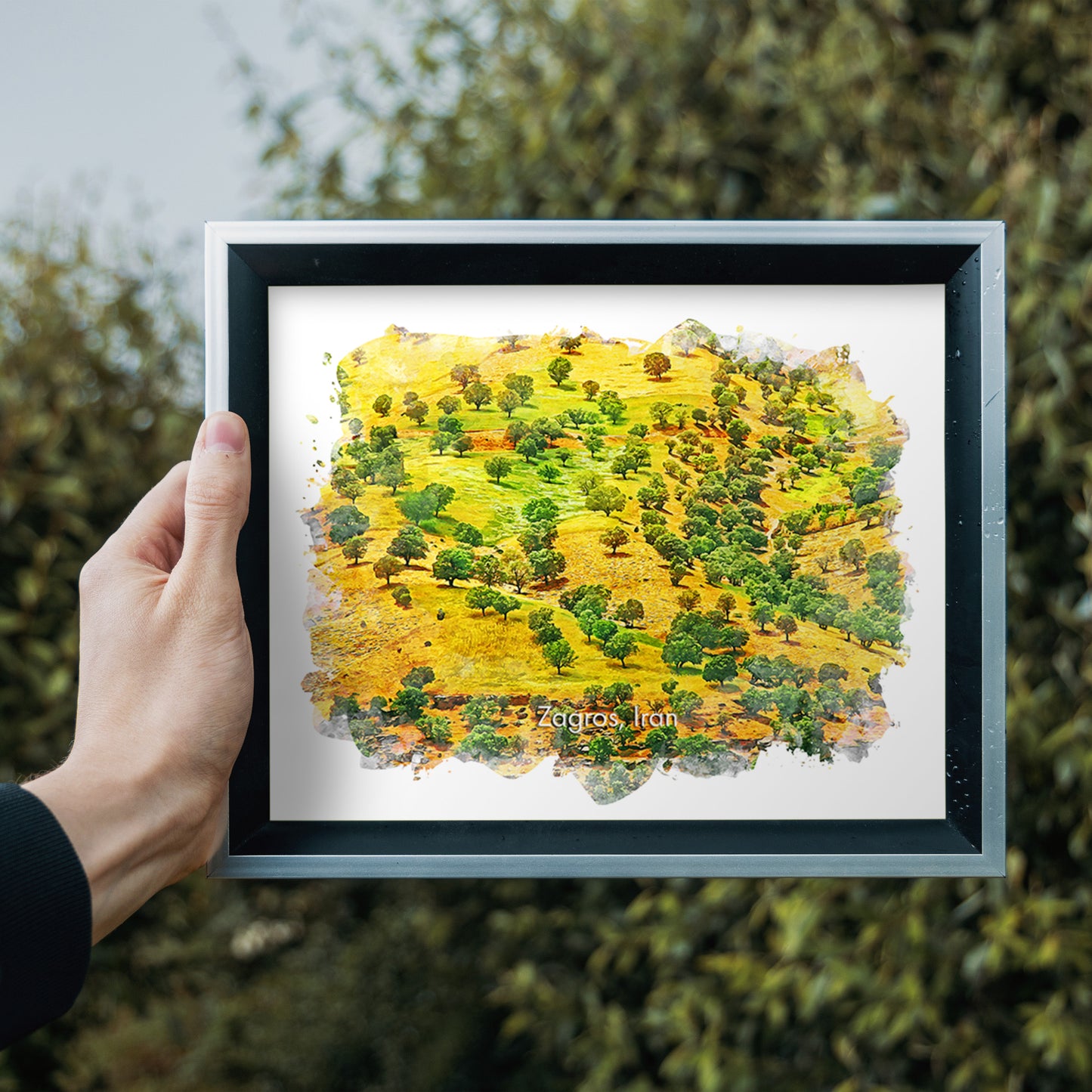 Zagros Oak Trees, Iran, Art Print | 8×10 | Made in Canada - PhiloPerse