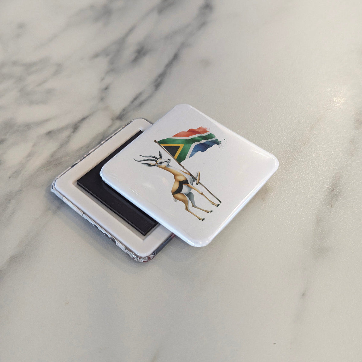 South Africa Magnet | Springbok of the Cape and Karoo | 2x2 | Made in Canada