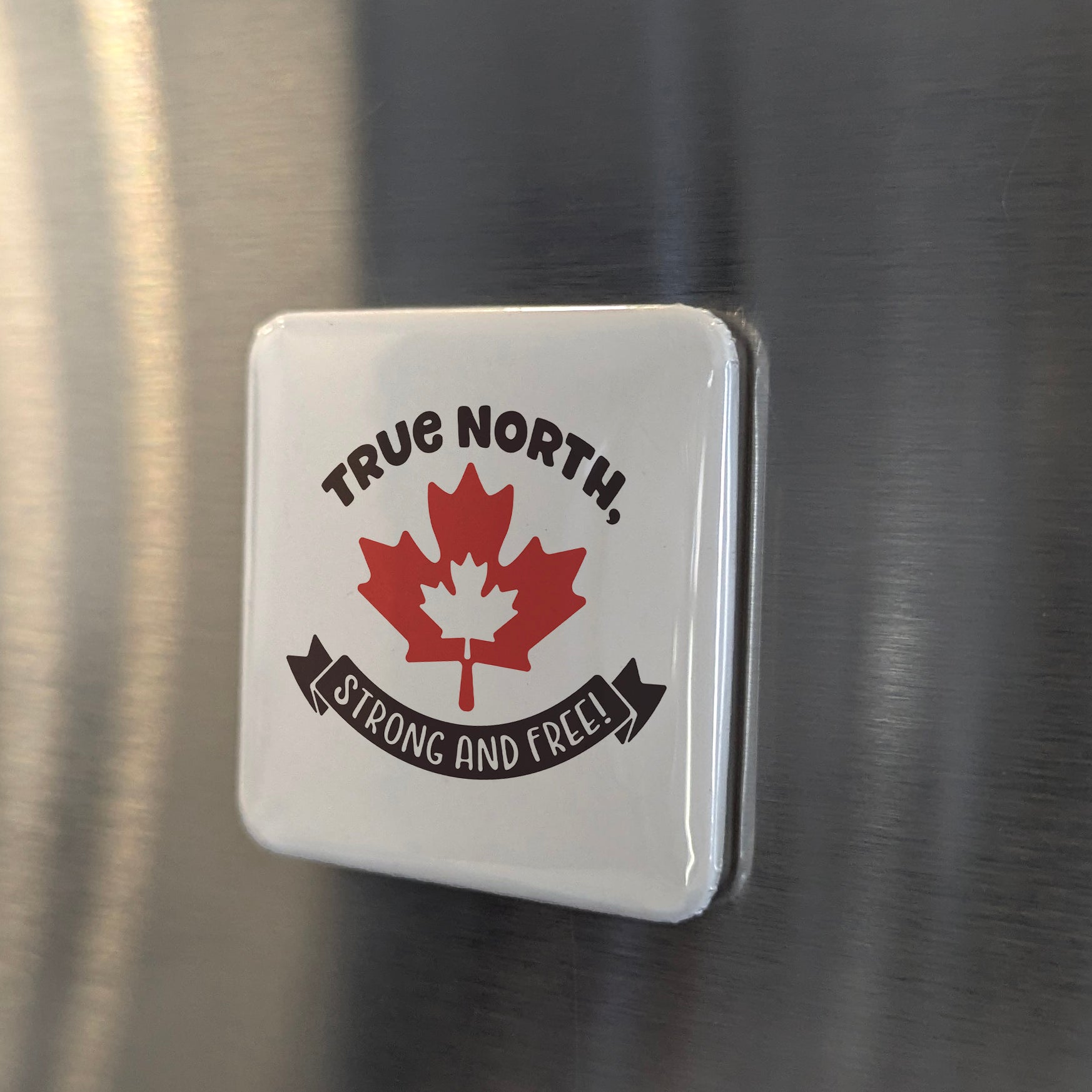 True North Fridge Magnet - PhiloPerse