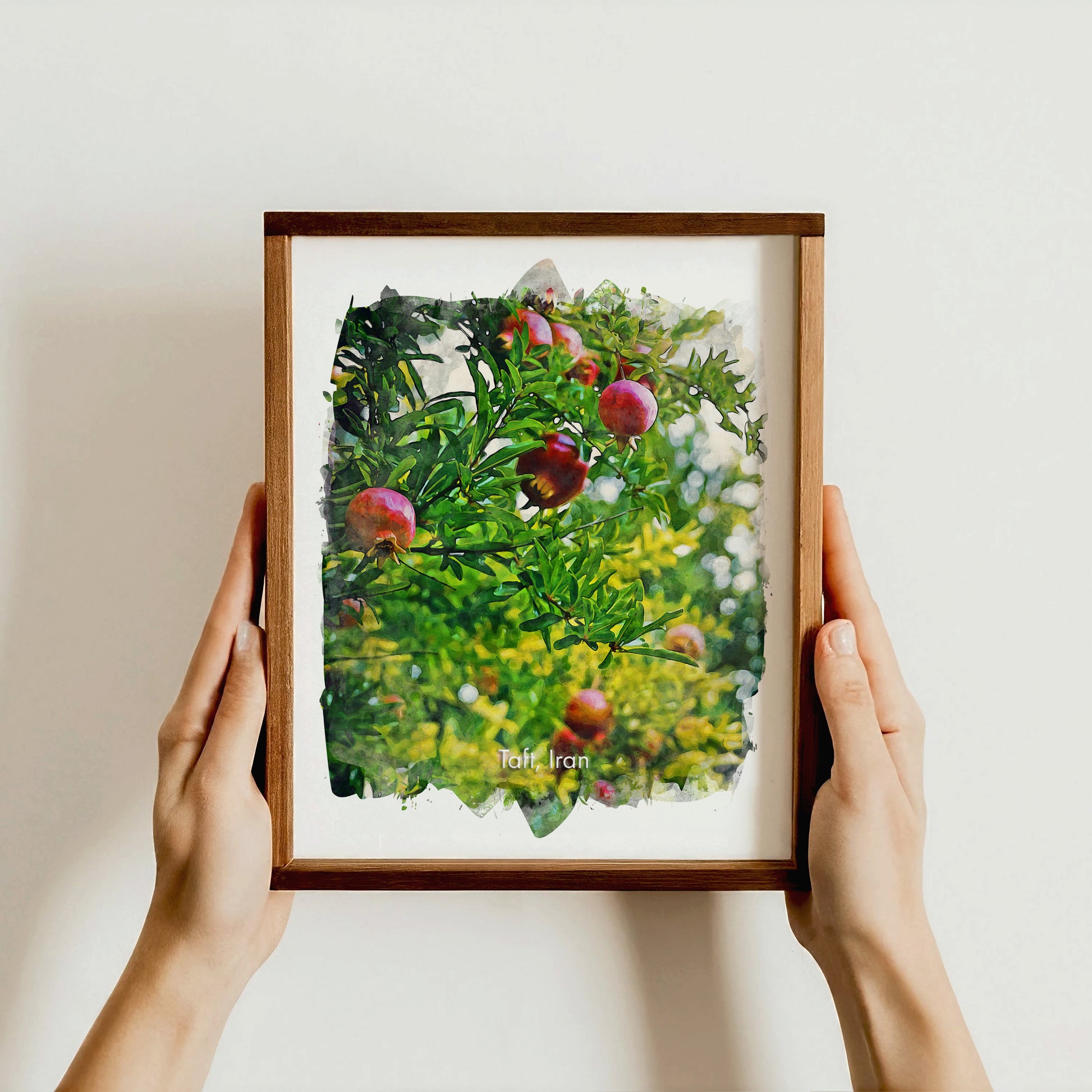 Taft Pomegranate Orchard, Iran, Art Print | 8×10 | Made in Canada - PhiloPerse